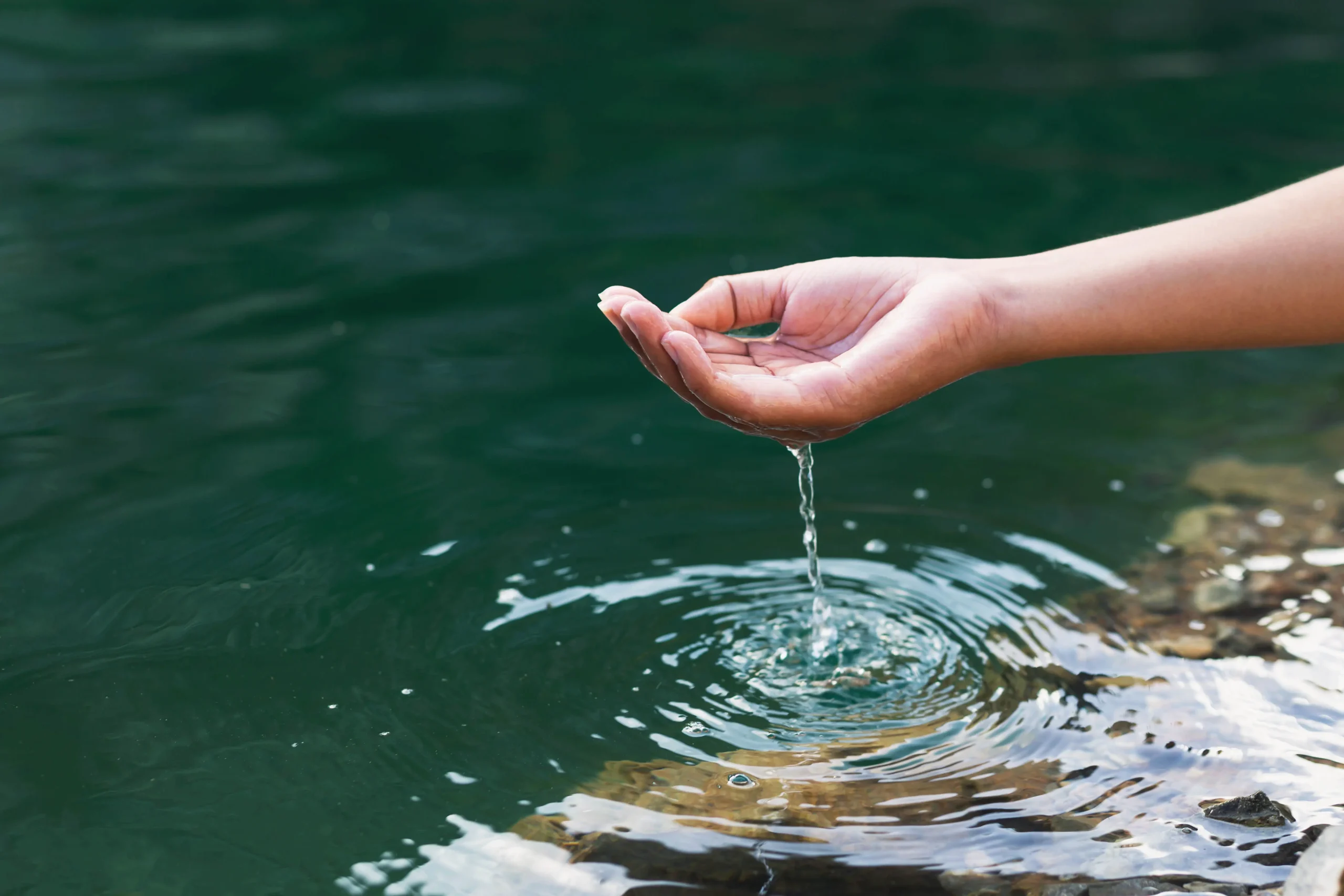 n s hand touching water midst nature scaled -